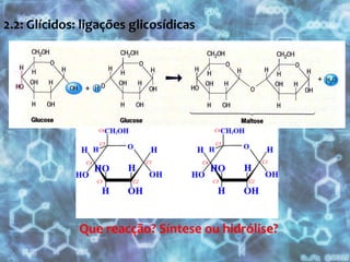 2.0: Grupos funcionais