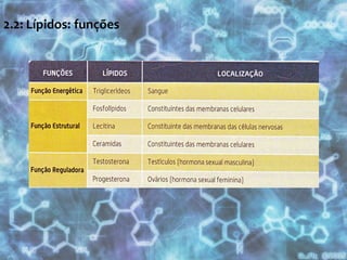 - Saturados -- Insaturados =2.2: Lípidos simples (C,OH): Glicéridos Ligação ésterQue reacção? Síntese ou hidrólise?