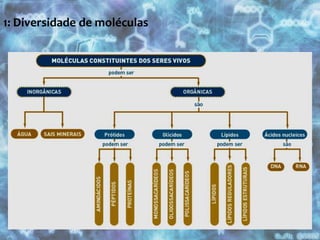 1: Diversidade de moléculas