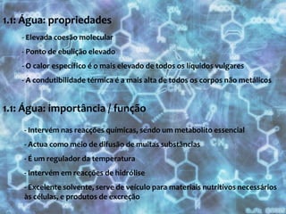 Molécula polar (dipolo eléctrico)