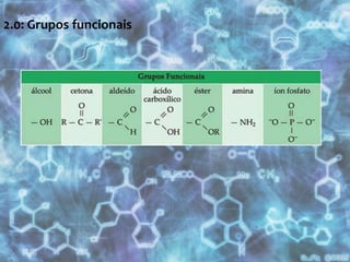 2: Macromoléculas: constituição (monómeros / polímeros)glícidos