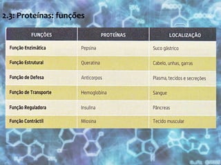 2.3: Proteínas: funções 