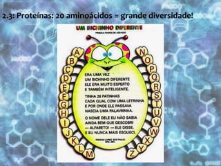 2.3: Proteínas: 20 aminoácidos = grande diversidade! 