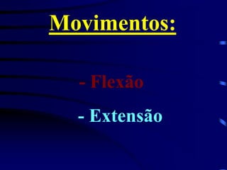 Movimentos:
- Flexão
- Extensão
 