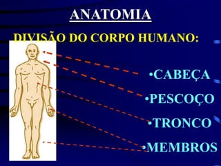 ANATOMIA
DIVISÃO DO CORPO HUMANO:
•CABEÇA
•PESCOÇO
•TRONCO
•MEMBROS
 