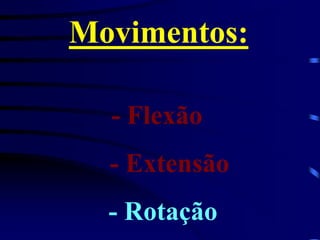 Movimentos:
- Flexão
- Extensão
- Rotação
 