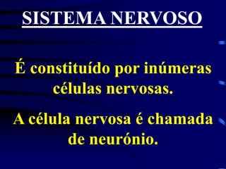 SISTEMA NERVOSO
É constituído por inúmeras
células nervosas.
A célula nervosa é chamada
de neurónio.
 