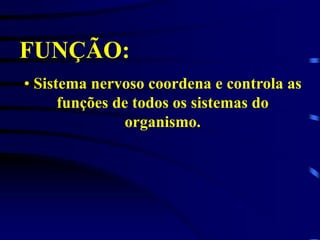 FUNÇÃO:
• Sistema nervoso coordena e controla as
funções de todos os sistemas do
organismo.
 