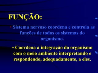 FUNÇÃO:
• Sistema nervoso coordena e controla as
funções de todos os sistemas do
organismo.
• Coordena a integração do organismo
com o meio ambiente interpretando e
respondendo, adequadamente, a eles.
 