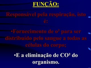 FUNÇÃO:
Responsável pela respiração, isto
é:
•Fornecimento de o² para ser
distribuído pelo sangue a todas as
células do corpo;
•E a eliminação de CO² do
organismo.
 