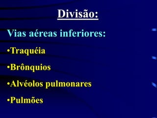 Divisão:
Vias aéreas inferiores:
•Traquéia
•Brônquios
•Alvéolos pulmonares
•Pulmões
 