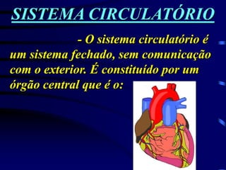 SISTEMA CIRCULATÓRIO
- O sistema circulatório é
um sistema fechado, sem comunicação
com o exterior. É constituído por um
órgão central que é o:
 