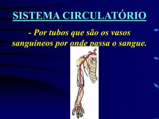 SISTEMA CIRCULATÓRIO
- Por tubos que são os vasos
sanguíneos por onde passa o sangue.
 