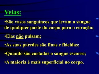 Veias:
•São vasos sanguíneos que levam o sangue
de qualquer parte do corpo para o coração;
•Elas não pulsam;
•As suas paredes são finas e flácidas;
•Quando são cortadas o sangue escorre;
•A maioria é mais superficial no corpo.
 