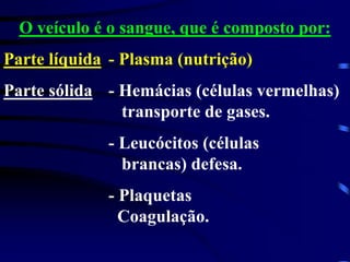 O veículo é o sangue, que é composto por:
Parte líquida - Plasma (nutrição)
Parte sólida - Hemácias (células vermelhas)
transporte de gases.
- Leucócitos (células
brancas) defesa.
- Plaquetas
Coagulação.
 