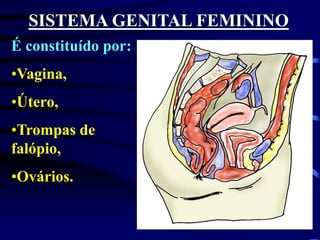 SISTEMA GENITAL FEMININO
É constituído por:
•Vagina,
•Útero,
•Trompas de
falópio,
•Ovários.
 
