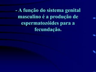 - A função do sistema genital
masculino é a produção de
espermatozóides para a
fecundação.
 