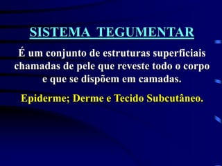 SISTEMA TEGUMENTAR
É um conjunto de estruturas superficiais
chamadas de pele que reveste todo o corpo
e que se dispõem em camadas.
Epiderme; Derme e Tecido Subcutâneo.
 