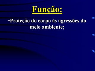 Função:
•Proteção do corpo às agressões do
meio ambiente;
 