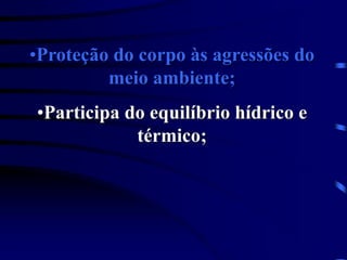 •Proteção do corpo às agressões do
meio ambiente;
•Participa do equilíbrio hídrico e
térmico;
 