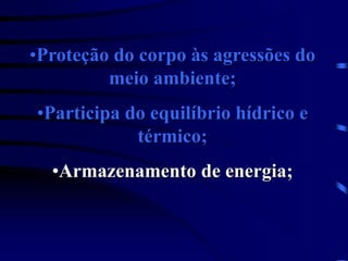 •Proteção do corpo às agressões do
meio ambiente;
•Participa do equilíbrio hídrico e
térmico;
•Armazenamento de energia;
 