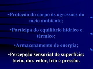 •Proteção do corpo às agressões do
meio ambiente;
•Participa do equilíbrio hídrico e
térmico;
•Armazenamento de energia;
•Percepção sensorial de superfície:
tacto, dor, calor, frio e pressão.
 