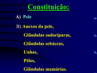 Constituição:
A) Pele
B) Anexos da pele,
Glândulas sudoríparas,
Glândulas sebáceas,
Unhas,
Pêlos,
Glândulas mamárias.
 