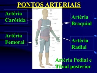 PONTOS ARTERIAIS
Artéria
Carótida
Artéria
Femoral Artéria
Radial
Artéria
Braquial
Artéria Pedial e
Tibial posterior
 