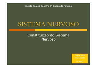 Escola Básica dos 2º e 3º Ciclos de Pataias

SISTEMA NERVOSO
Constituição do Sistema
Nervoso

CIÊNCIAS
NATURAIS
9º ANO

 
