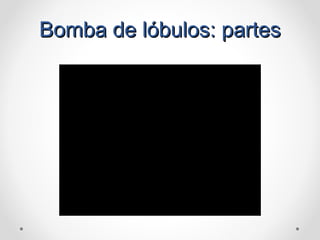 Bomba de lóbulos: partesBomba de lóbulos: partes
 