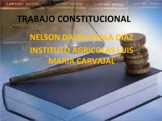 TRABAJO CONSTITUCIONAL 
NELSON DAVID AYALA DIAZ 
INSTITUTO AGRICOLAS LUIS 
MARIA CARVAJAL 
 