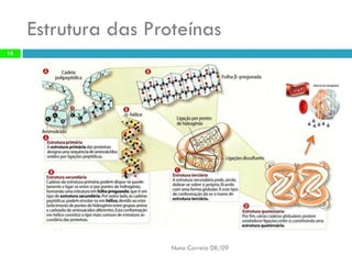 Constituintes Da MatéRia Viva 1