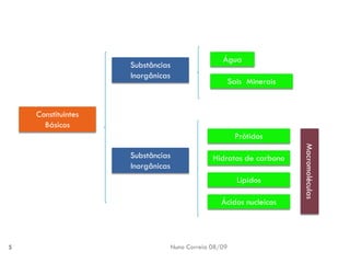 Constituintes Da MatéRia Viva 1