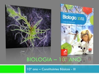 Fungos




         BIOLOGIA – 10º ANO
         10º ano – Constituintes Básicos - III
 