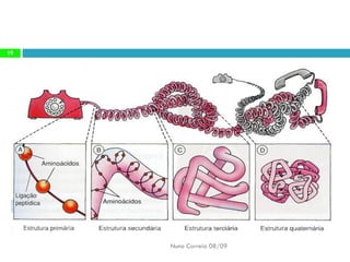 Constituintes Da MatéRia Viva (Completo)