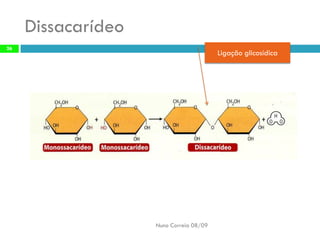 Constituintes Da MatéRia Viva (Completo)