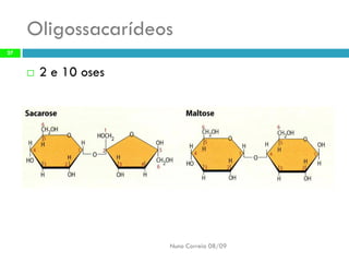 Constituintes Da MatéRia Viva (Completo)