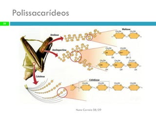 Constituintes Da MatéRia Viva (Completo)