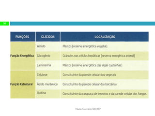 Constituintes Da MatéRia Viva (Completo)