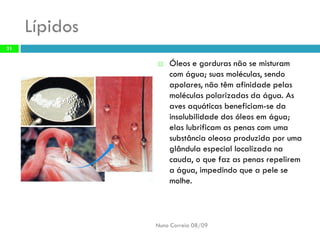 Constituintes Da MatéRia Viva (Completo)