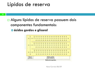 Constituintes Da MatéRia Viva (Completo)