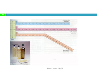 Constituintes Da MatéRia Viva (Completo)