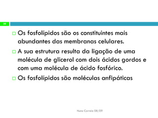 Constituintes Da MatéRia Viva (Completo)