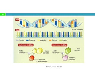 Constituintes Da MatéRia Viva (Completo)