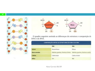 Constituintes Da MatéRia Viva (Completo)