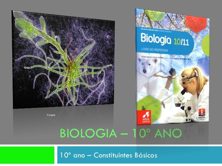 Fungos




         BIOLOGIA – 10º ANO
         10º ano – Constituintes Básicos
 