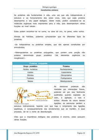 Biologia e geologia
Constituintes celulares
Ana Margarida Raposo nº3 10ºE Página 10
As proteínas são fundamentais à vida, uma vez que são indispensáveis à
estrutura e ao funcionamento dos seres vivos, visto que cada proteína
desempenha o seu papel biológico. Deste modo, podem considerar-se as
moléculas orgânicas mais importantes para a vida, pois desempenham várias
funções ao nível celular.
Estas podem encontrar-se na carne, na clara do ovo, no peixe, entre outros.
Através da hidrólise, podemos compreender que há diferentes tipos de
proteínas:
-As holoproteínas ou proteínas simples, que são apenas constituídas por
aminoácidos;
-Heteroproteínas ou proteínas conjugadas, que contem uma porção não
proteica denominada grupo prostético (de elementos orgânicos ou
inorgânicos).
Proteínas conjugadas
Grupo prostético Proteína
Ácidos nucleicos Nucleoproteína
Lípidos Lipoproteína
Glícidos Glicoproteína
Fosfatos Fosfoproteína
Metais Metaloproteína
As estruturas proteicas são
mantidas por interacções fracas,
podendo ser por isso facilmente
quebradas quando expostas ao
calor, à agitação, a sais e
ácidos. Através da rotura dessas
ligações, as estruturas perdem a
estrutura tridimensional, fazendo com que haja o rompimento das ligações
peptídicas, e consequentemente dos enrolamentos que as mantém. A esse
processo, dá-se o nome de desnaturação.
Visto que a importância biológica das proteínas é enorme, estas possuem
várias funções.
 