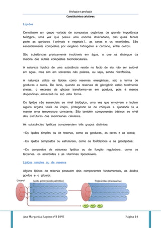 Biologia e geologia
Constituintes celulares
Ana Margarida Raposo nº3 10ºE Página 14
Lípidos
Constituem um grupo variado de compostos orgânicos de grande importância
biológica, uma vez que possui uma enorme diversidade, das quais fazem
parte as gorduras (animais e vegetais), as ceras e os esteróides. São
essencialmente compostos por oxigénio hidrogénio e carbono, entre outros.
São substâncias praticamente insolúveis em água, o que os distingue da
maioria dos outros compostos biomoleculares.
A natureza lipídica de uma substância reside no facto de ela não ser solúvel
em água, mas sim em solventes não polares, ou seja, sendo hidrofóbica.
A natureza utiliza os lípidos como reservas energéticas, sob a forma de
gorduras e óleos. De facto, quando as reservas de glicogénio estão totalmente
cheias, o excesso de glicose transforma-se em gordura, pois é menos
dispendioso armazená-la sob esta forma.
Os lípidos são essenciais ao nível biológico, uma vez que envolvem e isolam
alguns órgãos vitais do corpo, protegendo-os de choques e ajudando-os a
manter uma temperatura constante. São também componentes básicos ao nível
das estruturas das membranas celulares.
As substâncias lipídicas compreendem três grupos distintos:
-Os lípidos simples ou de reserva, como as gorduras, as ceras e os óleos;
-Os lípidos compostos ou estruturais, como os fosfolípidos e os glicolípidos;
-Os compostos de natureza lipídica ou de função reguladora, como os
terpenos, os esteróides e as vitaminas liposolúveis.
Lípidos simples ou de reserva
Alguns lípidos de reserva possuem dois componentes fundamentais, os ácidos
gordos e o glicerol.
 