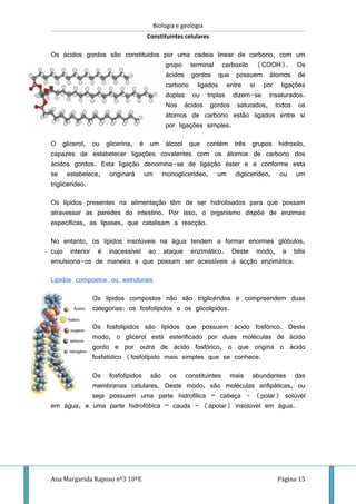 Biologia e geologia
Constituintes celulares
Ana Margarida Raposo nº3 10ºE Página 15
Os ácidos gordos são constituídos por uma cadeia linear de carbono, com um
grupo terminal carboxilo (COOH). Os
ácidos gordos que possuem átomos de
carbono ligados entre si por ligações
duplas ou triplas dizem-se insaturados.
Nos ácidos gordos saturados, todos os
átomos de carbono estão ligados entre si
por ligações simples.
O glicerol, ou glicerina, é um álcool que contém três grupos hidroxilo,
capazes de estabelecer ligações covalentes com os átomos de carbono dos
ácidos gordos. Esta ligação denomina-se de ligação éster e a conforme esta
se estabelece, originará um monoglicerídeo, um diglicerídeo, ou um
triglicerídeo.
Os lípidos presentes na alimentação têm de ser hidrolisados para que possam
atravessar as paredes do intestino. Por isso, o organismo dispõe de enzimas
específicas, as lipases, que catalisam a reacção.
No entanto, os lípidos insolúveis na água tendem a formar enormes glóbulos,
cujo interior é inacessível ao ataque enzimático. Deste modo, a bílis
emulsiona-os de maneira a que possam ser acessíveis à acção enzimática.
Lípidos compostos ou estruturais
Os lípidos compostos não são triglicéridos e compreendem duas
categorias: os fosfolípidos e os glicolípidos.
Os fosfolípidos são lípidos que possuem ácido fosfórico. Deste
modo, o glicerol está esterificado por duas moléculas de ácido
gordo e por outra de ácido fosfórico, o que origina o ácido
fosfatídico (fosfolípido mais simples que se conhece.
Os fosfolípidos são os constituintes mais abundantes das
membranas celulares. Deste modo, são moléculas anfipáticas, ou
seja possuem uma parte hidrofílica – cabeça - (polar) solúvel
em água, e uma parte hidrofóbica – cauda - (apolar) insolúvel em água.
Azoto
 