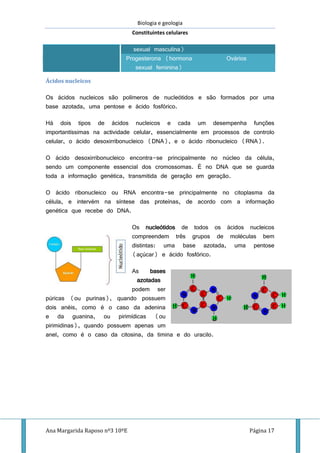 Biologia e geologia
Constituintes celulares
Ana Margarida Raposo nº3 10ºE Página 17
sexual masculina)
Progesterona (hormona
sexual feminina)
Ovários
Ácidos nucleicos
Os ácidos nucleicos são polímeros de nucleótidos e são formados por uma
base azotada, uma pentose e ácido fosfórico.
Há dois tipos de ácidos nucleicos e cada um desempenha funções
importantíssimas na actividade celular, essencialmente em processos de controlo
celular, o ácido desoxirribonucleico (DNA), e o ácido ribonucleico (RNA).
O ácido desoxirribonucleico encontra-se principalmente no núcleo da célula,
sendo um componente essencial dos cromossomas. É no DNA que se guarda
toda a informação genética, transmitida de geração em geração.
O ácido ribonucleico ou RNA encontra-se principalmente no citoplasma da
célula, e intervém na síntese das proteínas, de acordo com a informação
genética que recebe do DNA.
Os nucleótidos de todos os ácidos nucleicos
compreendem três grupos de moléculas bem
distintas: uma base azotada, uma pentose
(açúcar) e ácido fosfórico.
As bases
azotadas
podem ser
púricas (ou purinas), quando possuem
dois anéis, como é o caso da adenina
e da guanina, ou pirimídicas (ou
pirimidinas), quando possuem apenas um
anel, como é o caso da citosina, da timina e do uracilo.
 